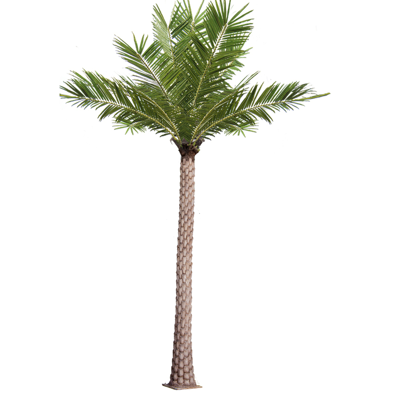 椰树2.jpg
