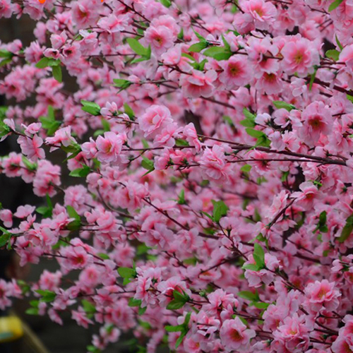 桃花树，仿真桃花树，桃花，假树