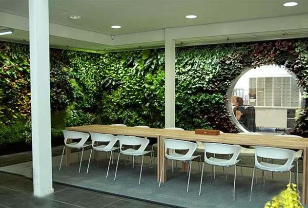 室内仿真植物墙的多样性
