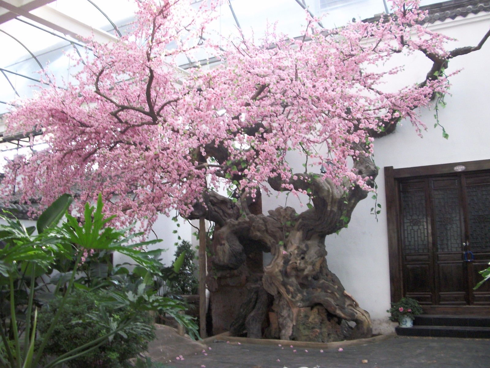仿真樱花树装饰环境之美